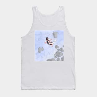 Koi Fish Tank Top